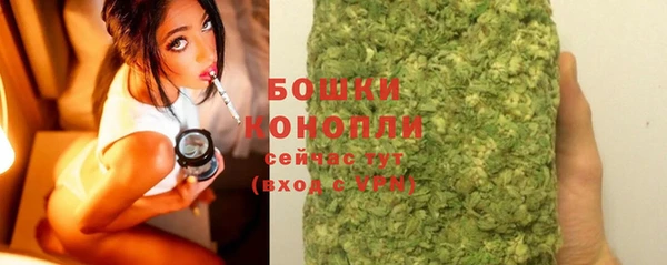 мдпв Майский