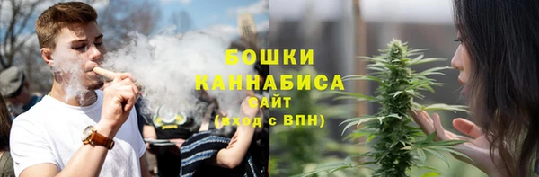 мдпв Майский