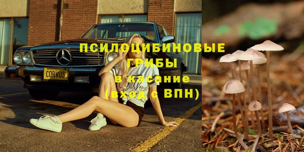 мдпв Майский