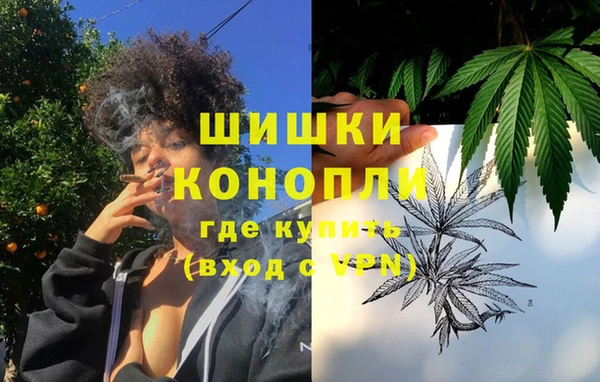 мдпв Майский